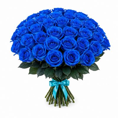 33 розы