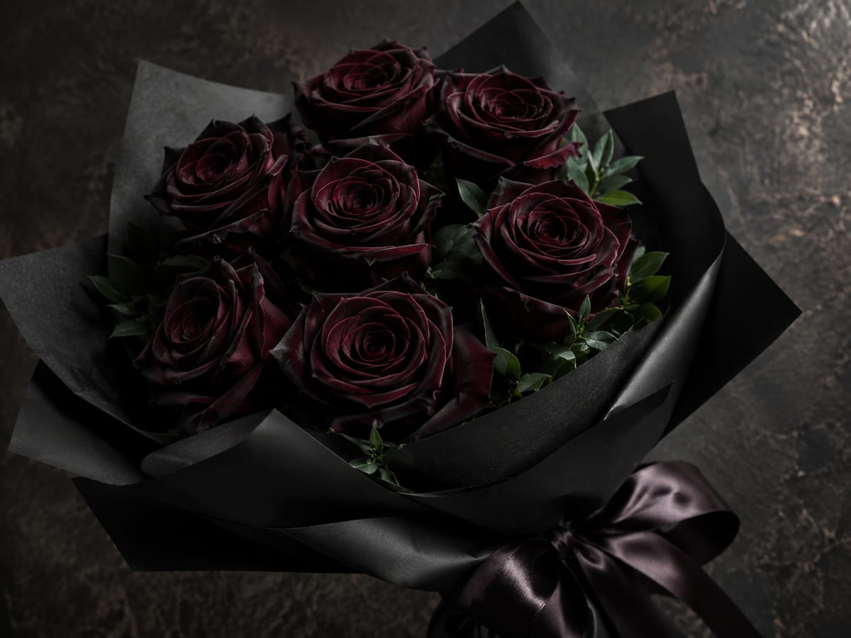 Чёрные розы: что значит подарить, лучшие сорта и правда о тонировке