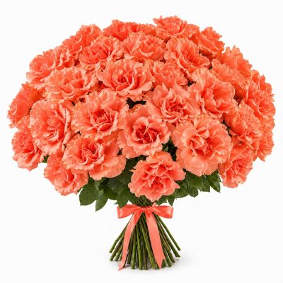 Коралловые розы